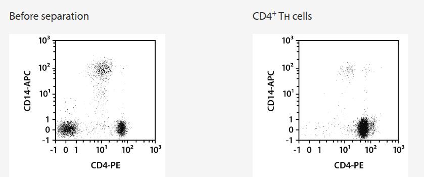 Separation of an LRSC sample using the StraightFrom LRSC CD4 MicroBead Kit and the MultiMACS Cell24 Separator Plus with the Single-Column Adapter and LS Columns. Cells were fluorescently stained with CD4-PE, CD14-APC, as well as CD45-VioBlue and analyzed by flow cytometry using the MACSQuant Analyzer. Cell debris and dead cells were excluded from the analysis based on scatter signals and propidium iodide fluorescence.